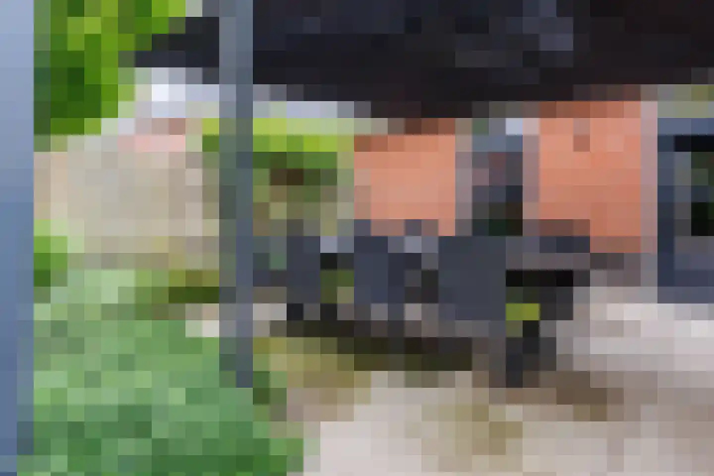 De Tolboom 19 Afferden thumbnail 61
