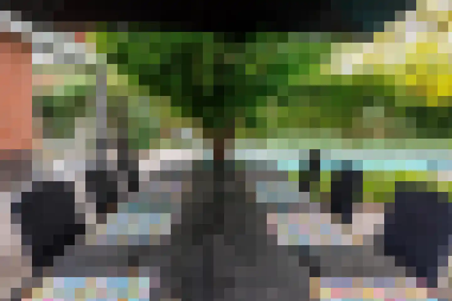 De Tolboom 19 Afferden thumbnail 62