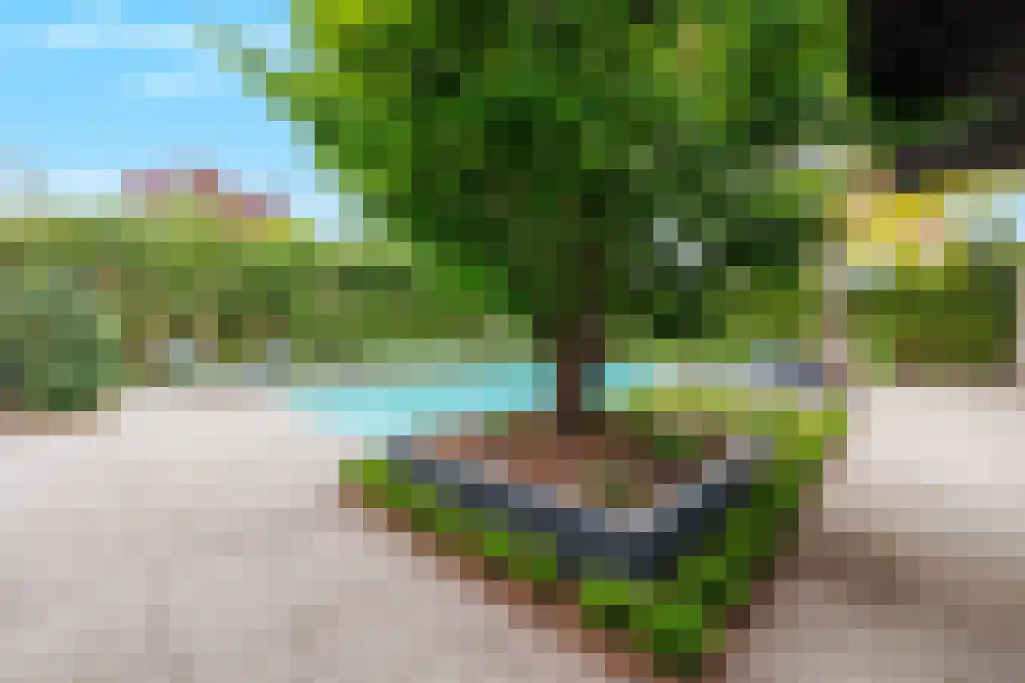 De Tolboom 19 Afferden thumbnail 63