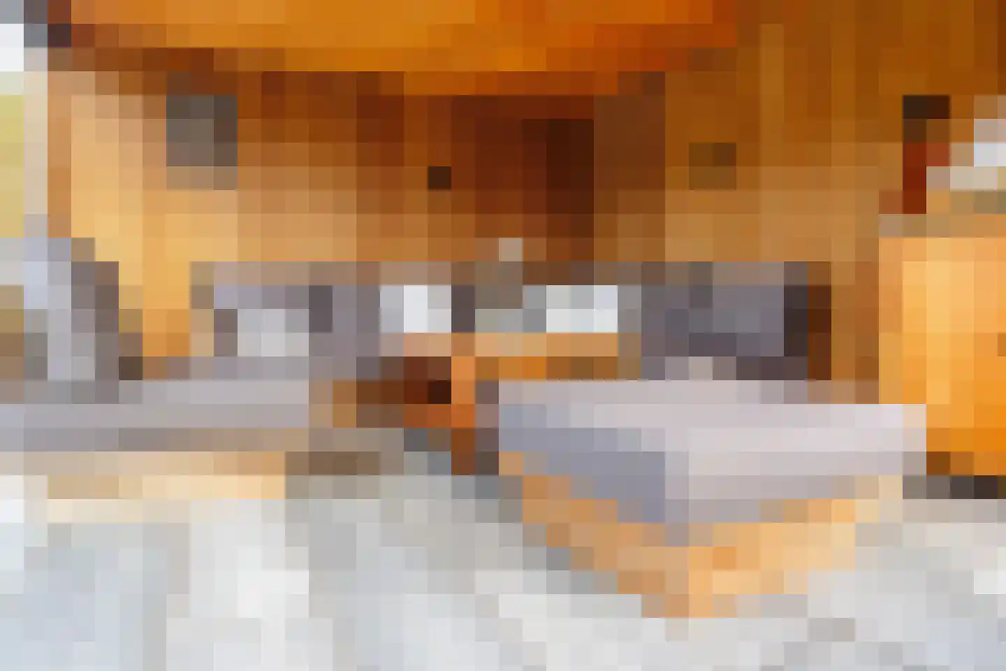 De Tolboom 19 Afferden thumbnail 69