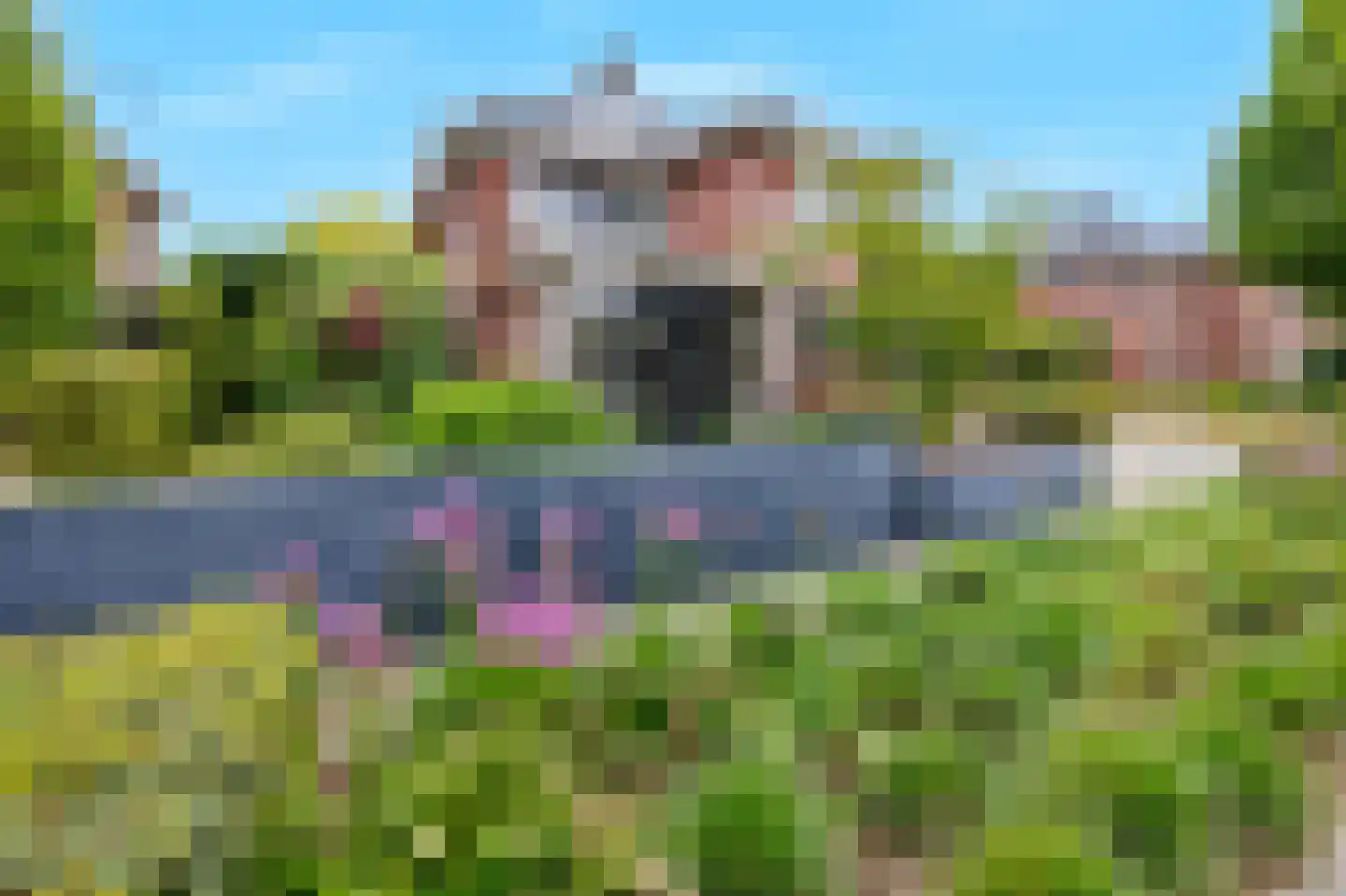 De Tolboom 19 Afferden thumbnail 7