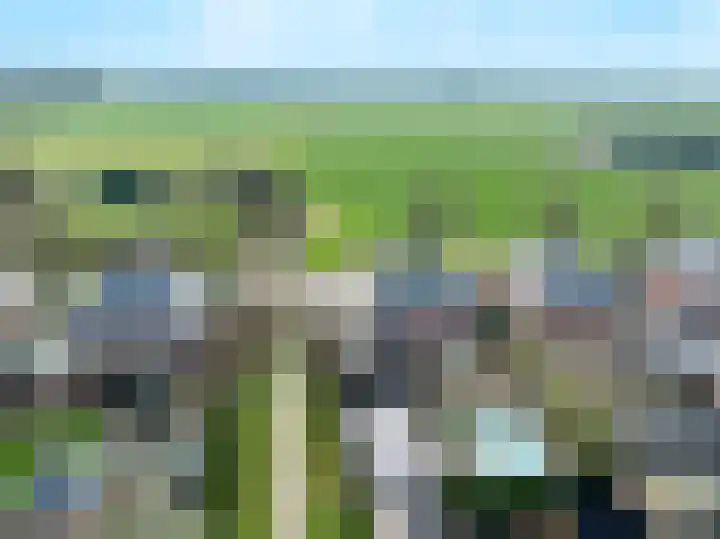 De Tolboom 19 Afferden thumbnail 7