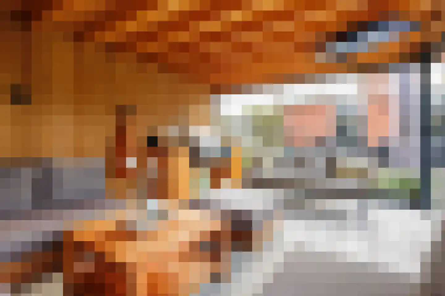 De Tolboom 19 Afferden thumbnail 70
