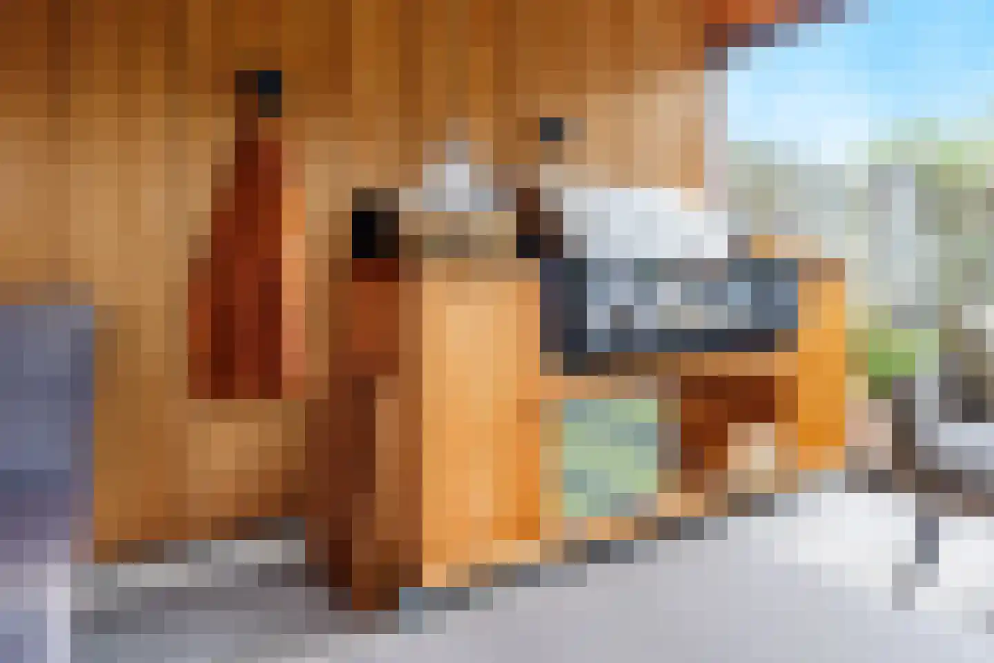 De Tolboom 19 Afferden thumbnail 72