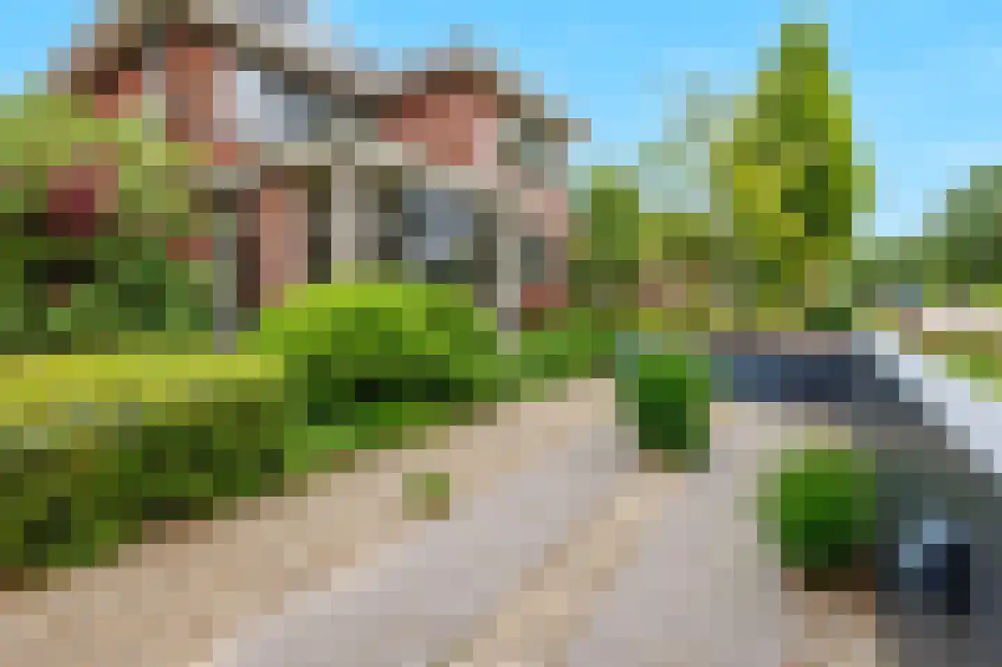 De Tolboom 19 Afferden thumbnail 73