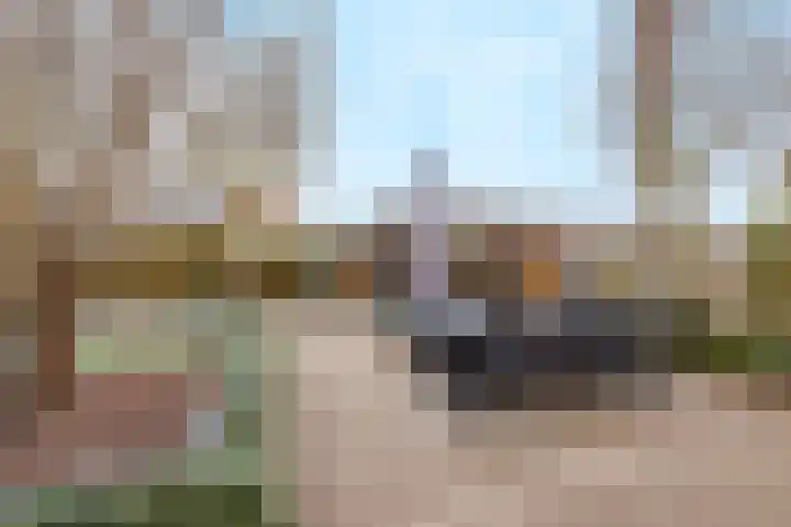 De Tolboom 19 Afferden thumbnail 73