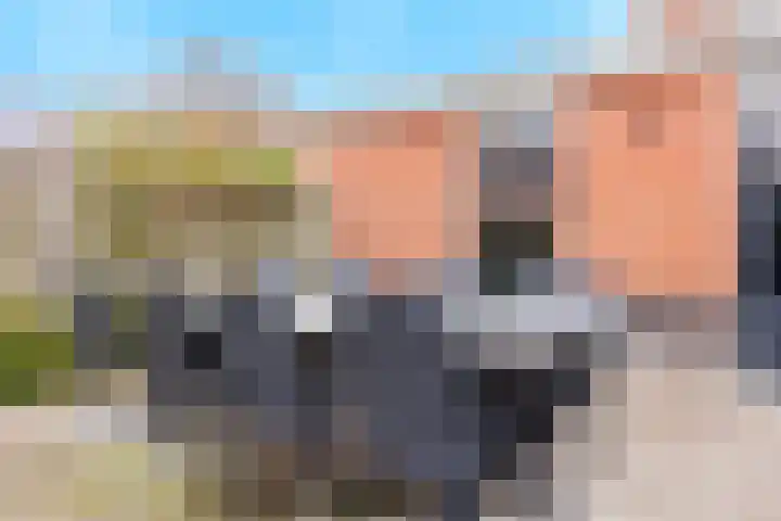 De Tolboom 19 Afferden thumbnail 74