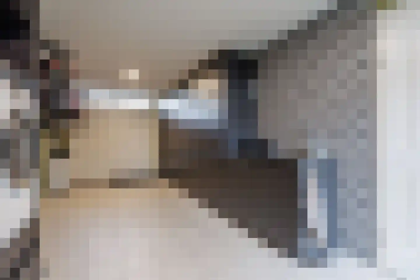 De Tolboom 19 Afferden thumbnail 77