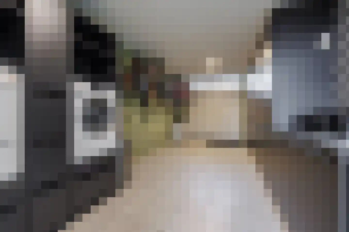 De Tolboom 19 Afferden thumbnail 78