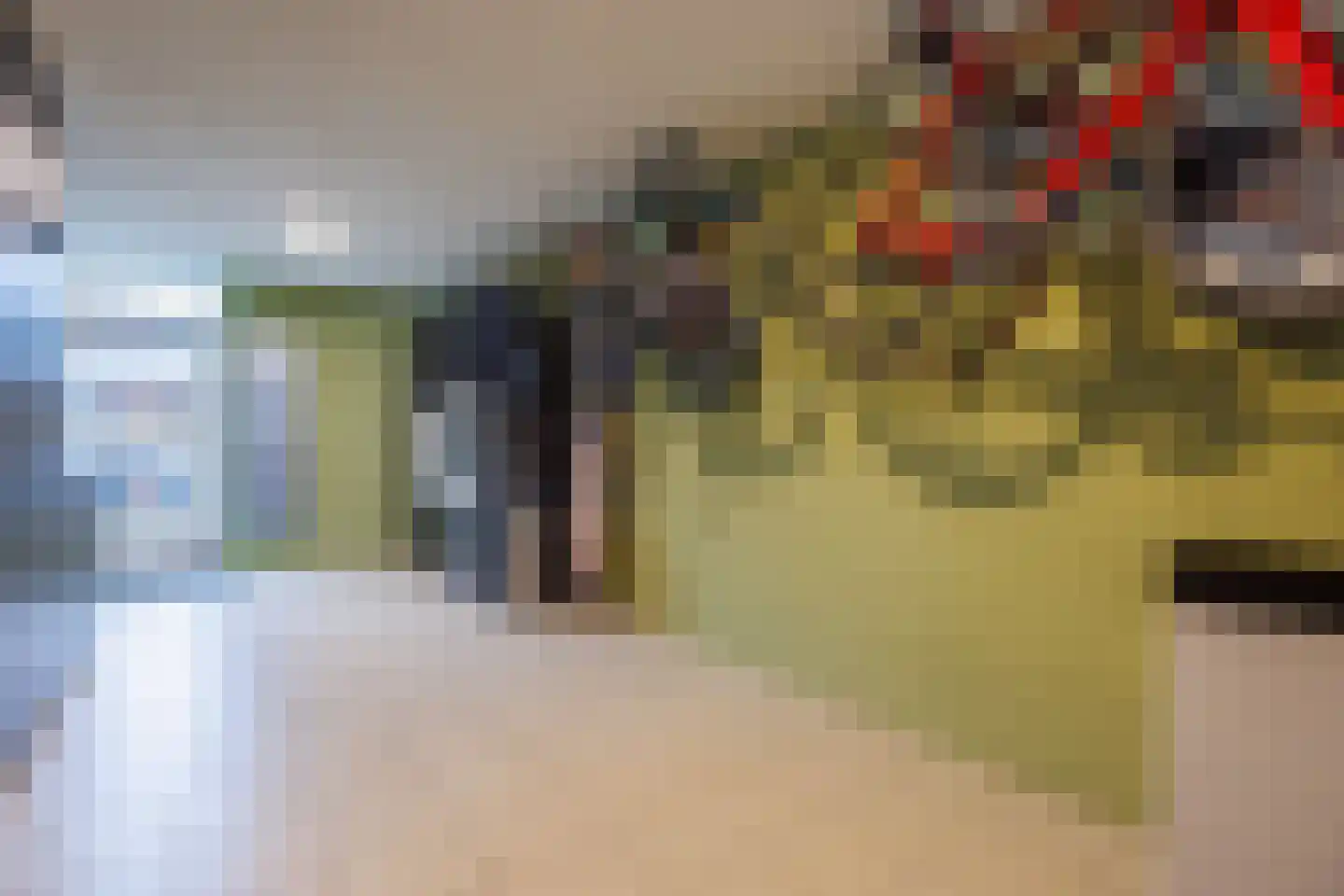 De Tolboom 19 Afferden thumbnail 79