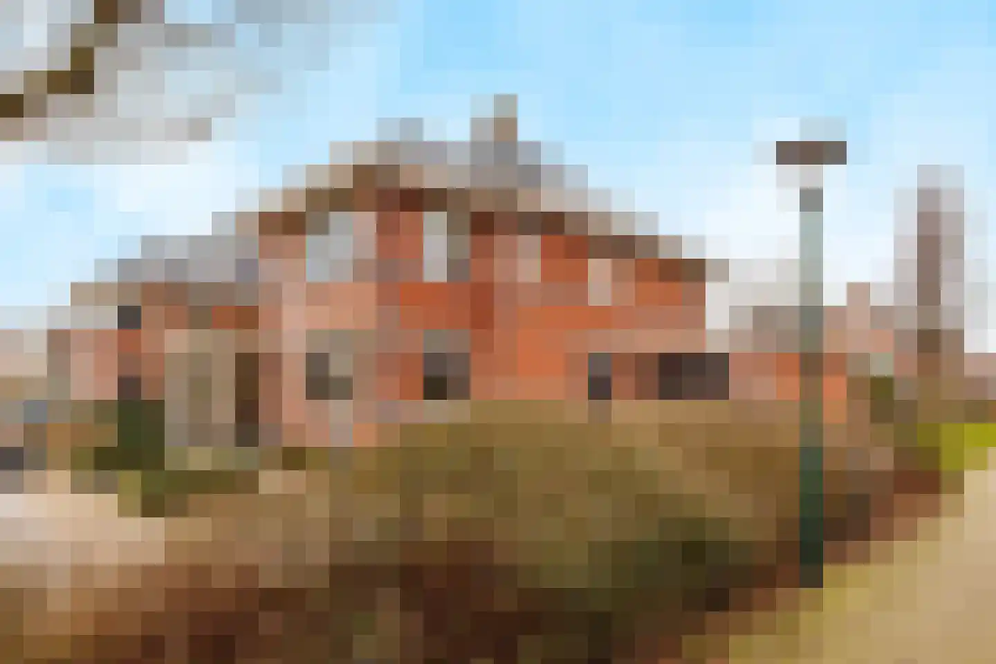 De Tolboom 19 Afferden thumbnail 8
