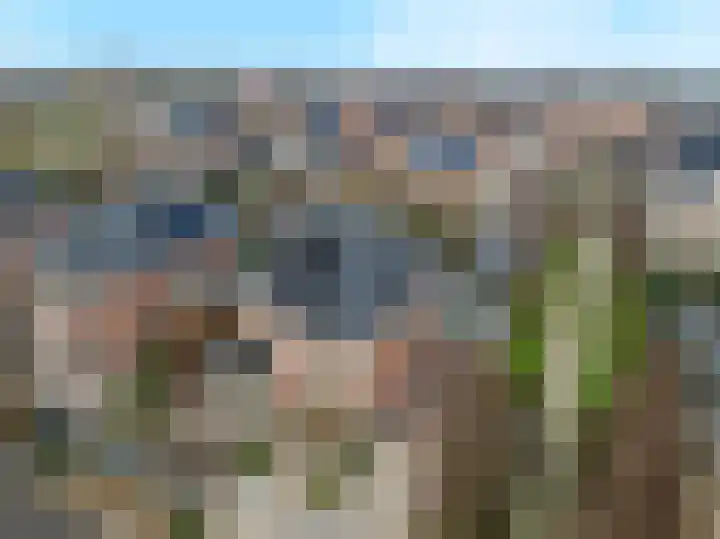 De Tolboom 19 Afferden thumbnail 84