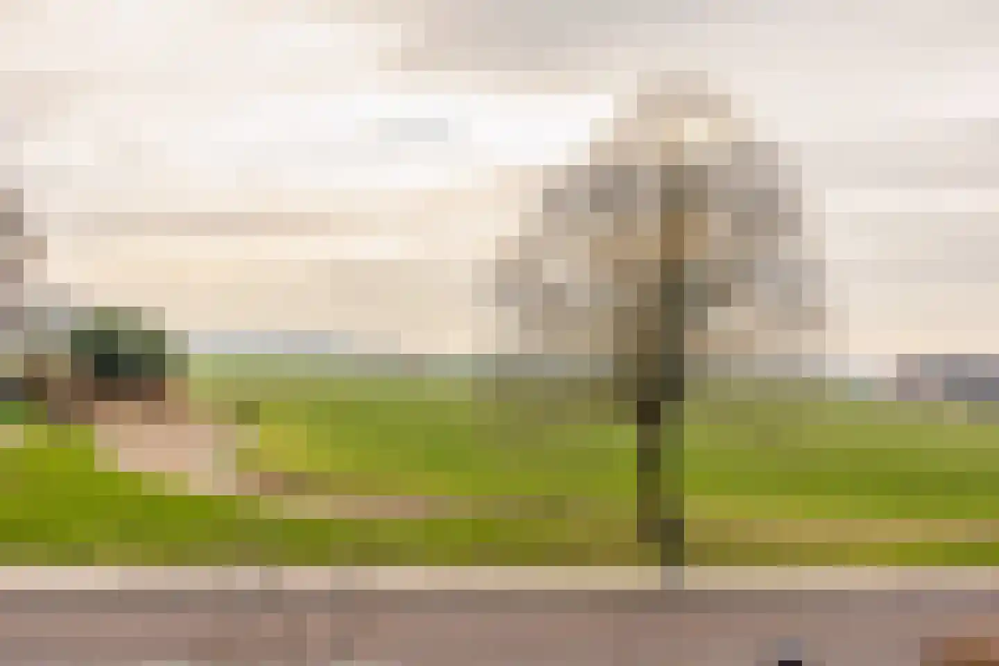 De Tolboom 19 Afferden thumbnail 86