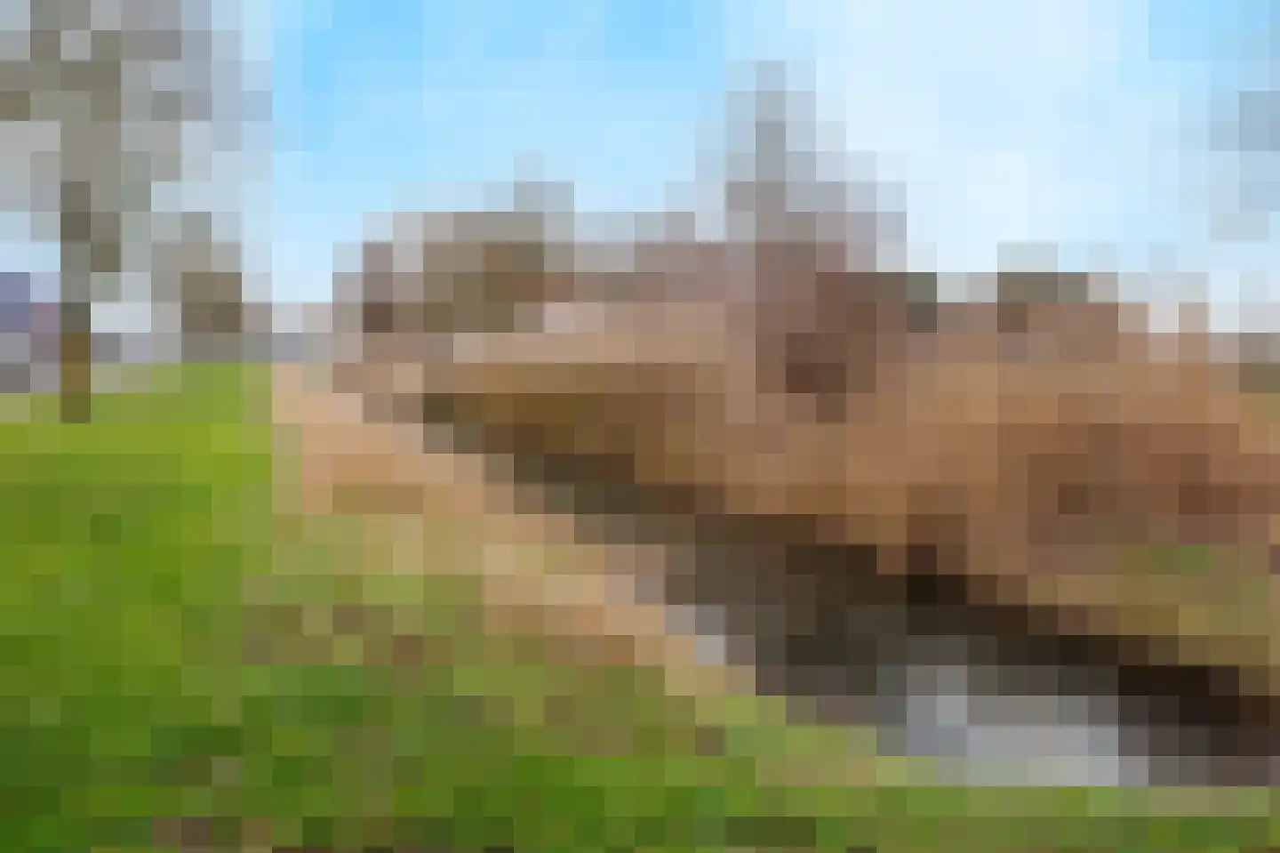 De Tolboom 19 Afferden thumbnail 88