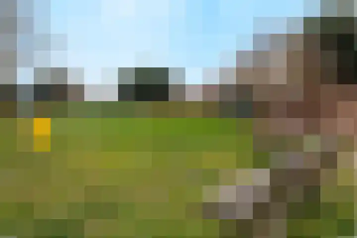 De Tolboom 19 Afferden thumbnail 89