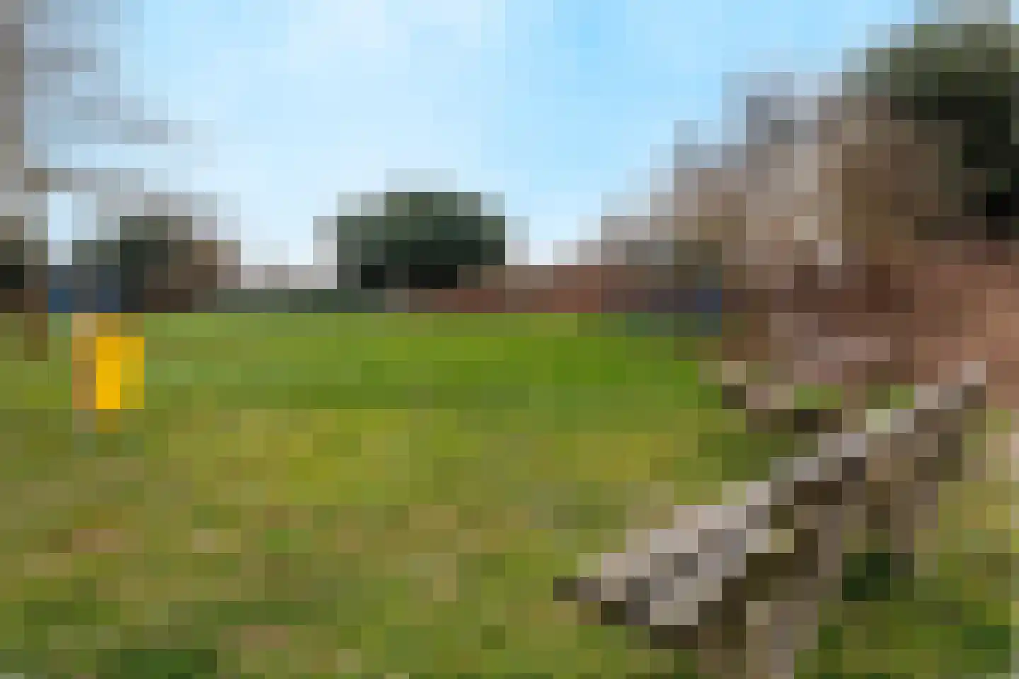 De Tolboom 19 Afferden thumbnail 89