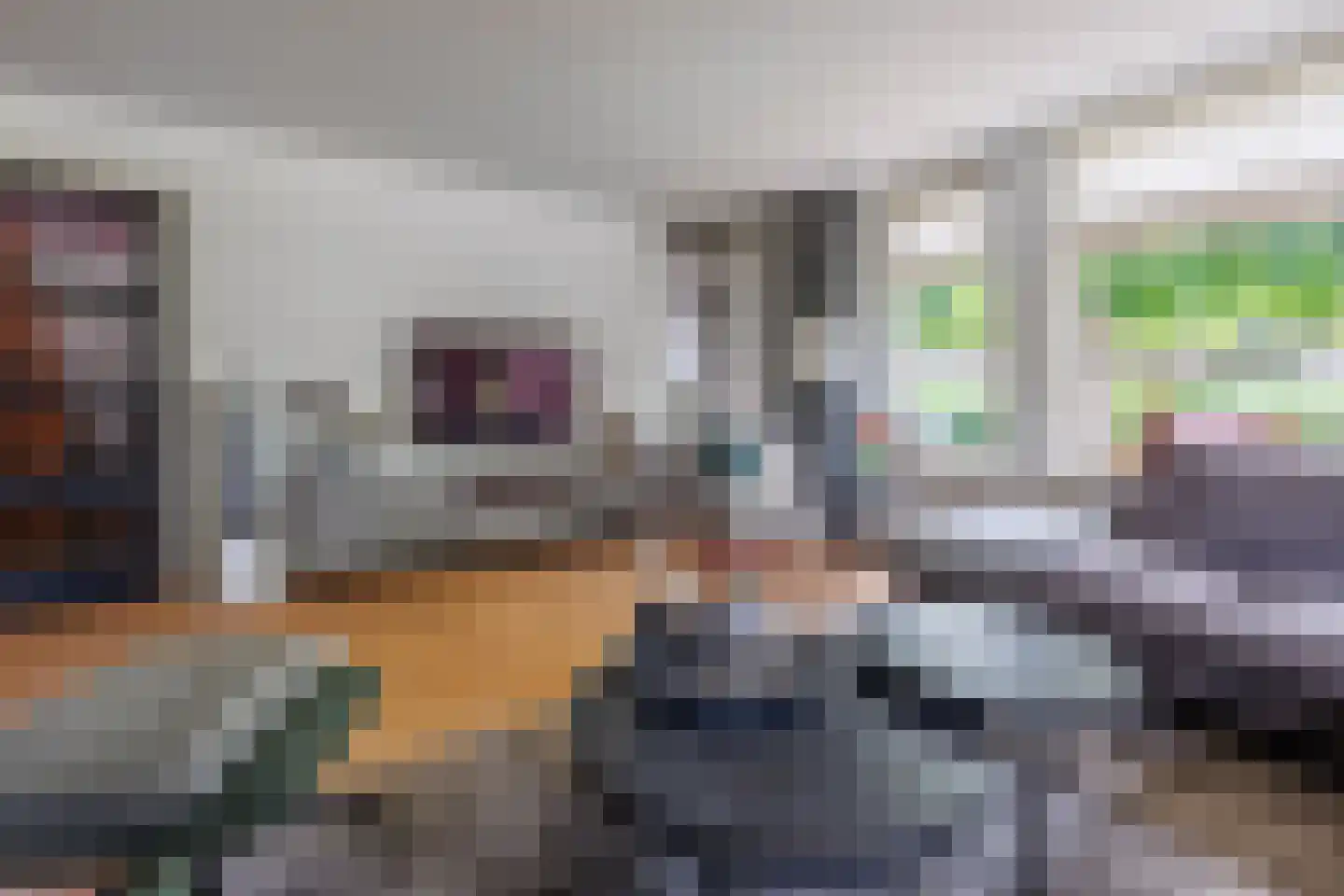 De Tolboom 25 Afferden thumbnail 10