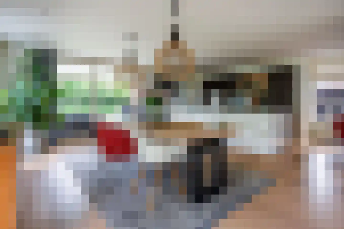 De Tolboom 25 Afferden thumbnail 16