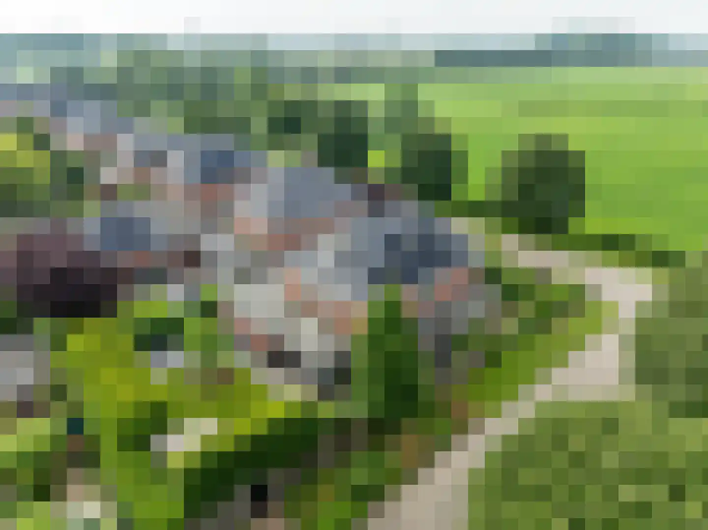 De Tolboom 25 Afferden foto 3