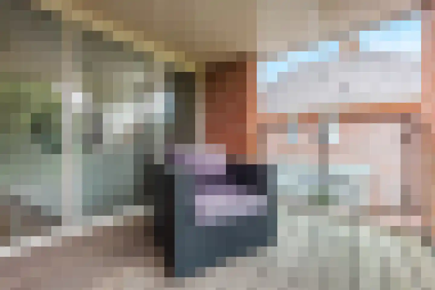 De Tolboom 25 Afferden thumbnail 31
