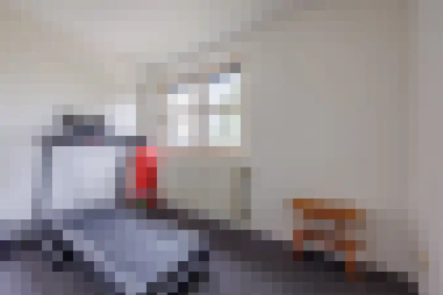 De Tolboom 25 Afferden thumbnail 37