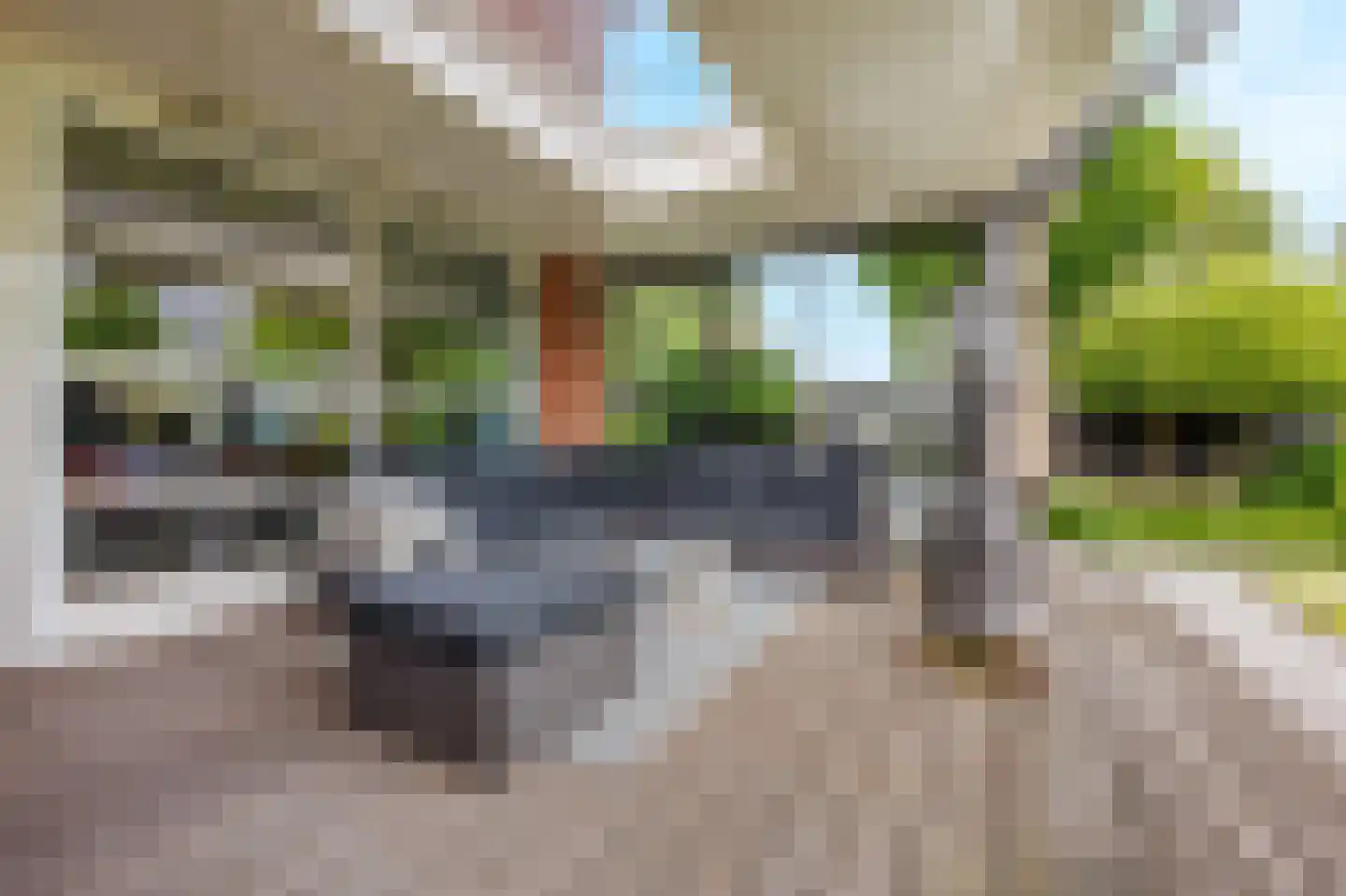De Tolboom 25 Afferden thumbnail 53