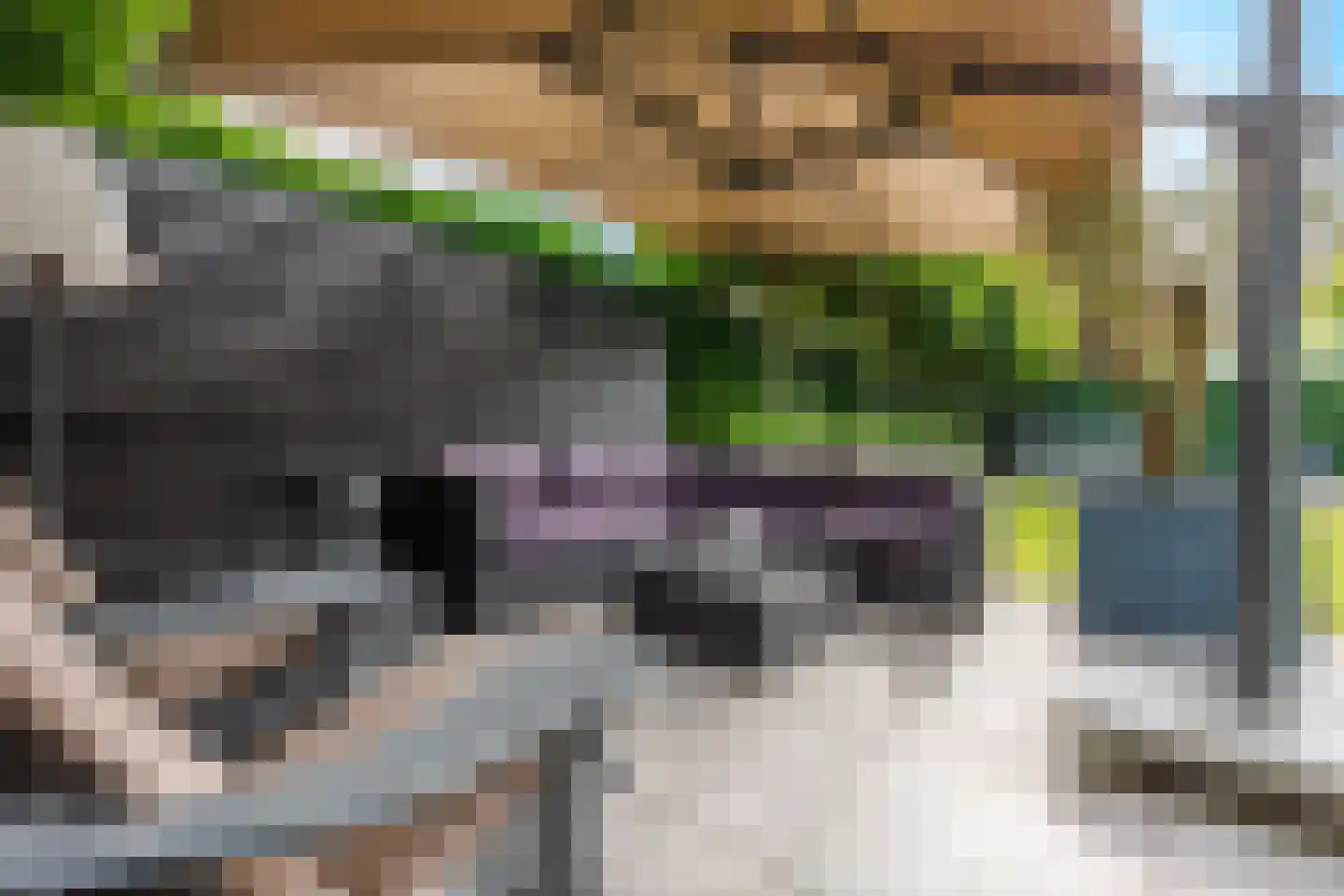 De Tolboom 25 Afferden thumbnail 58