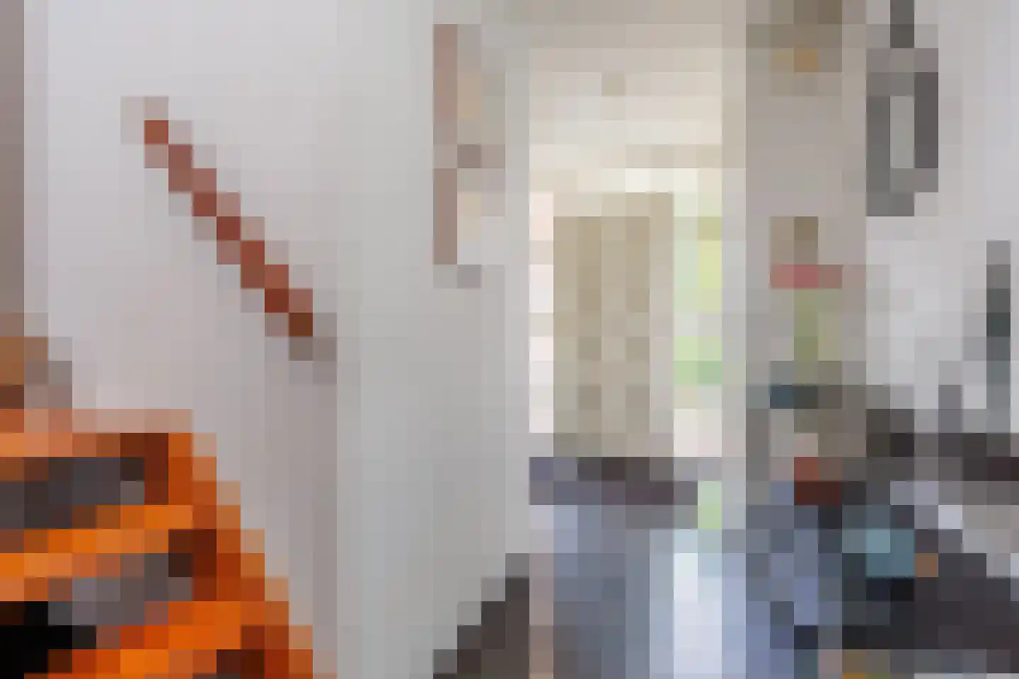 De Tolboom 25 Afferden thumbnail 6