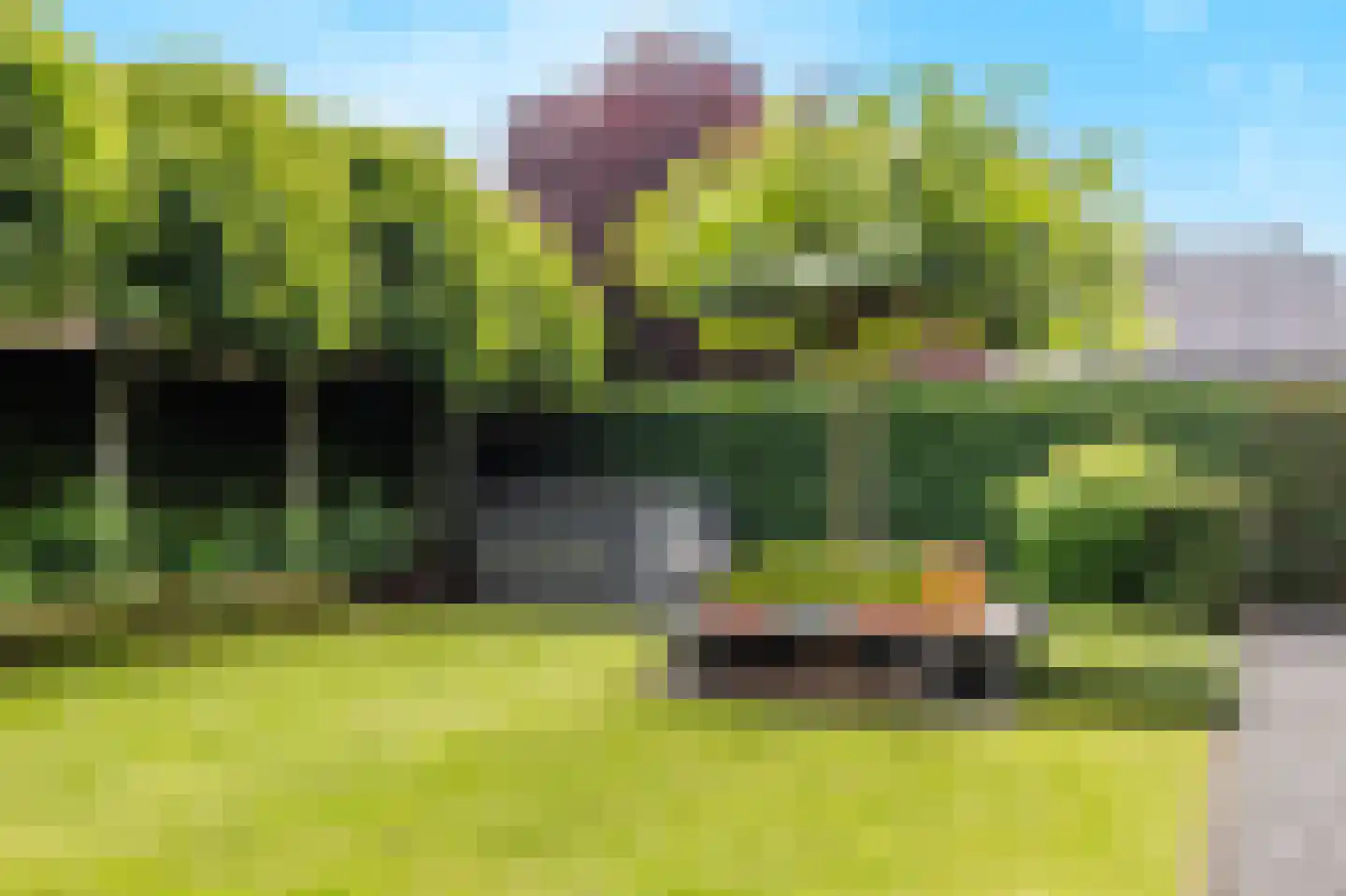 De Tolboom 25 Afferden thumbnail 60