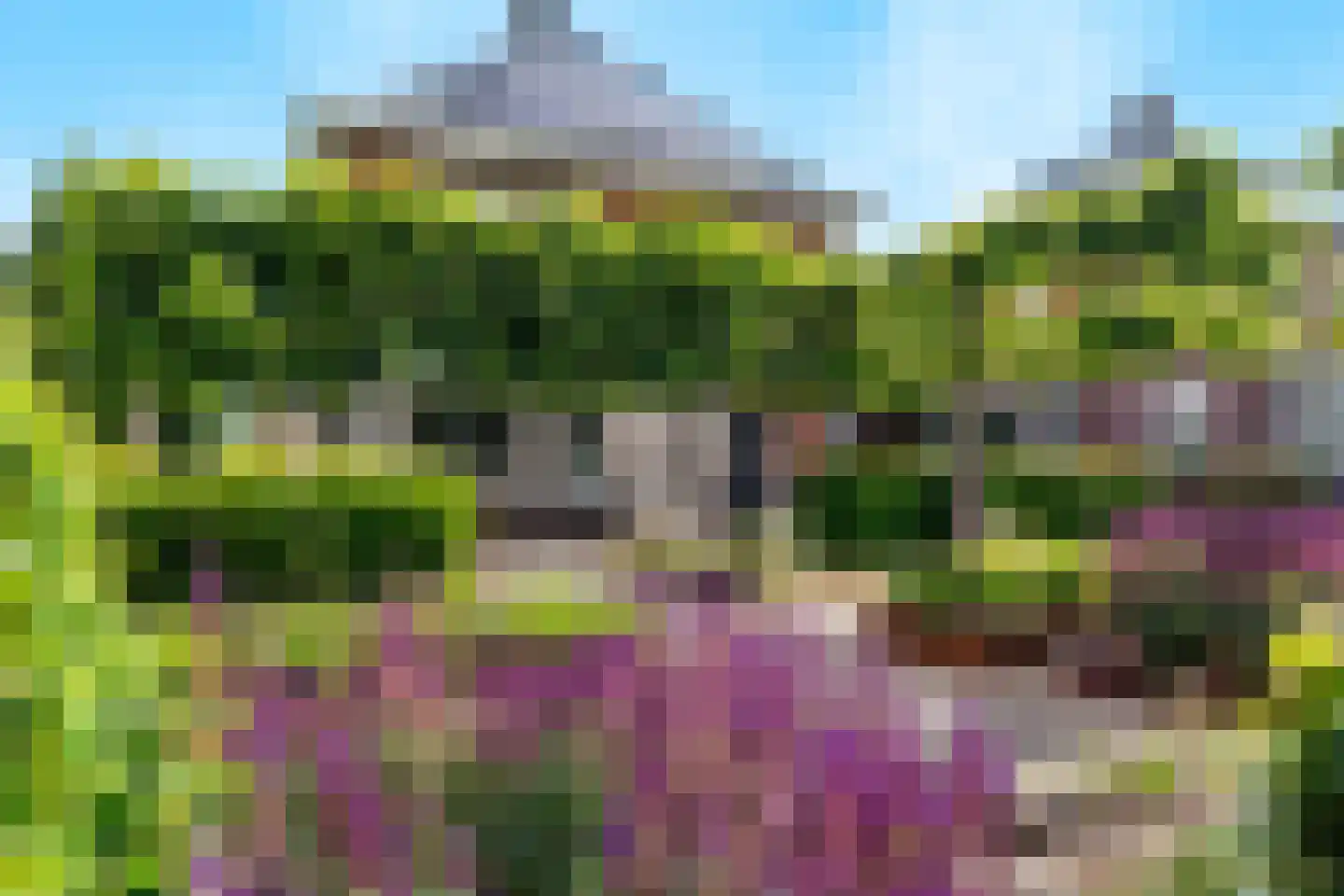 De Tolboom 25 Afferden thumbnail 61