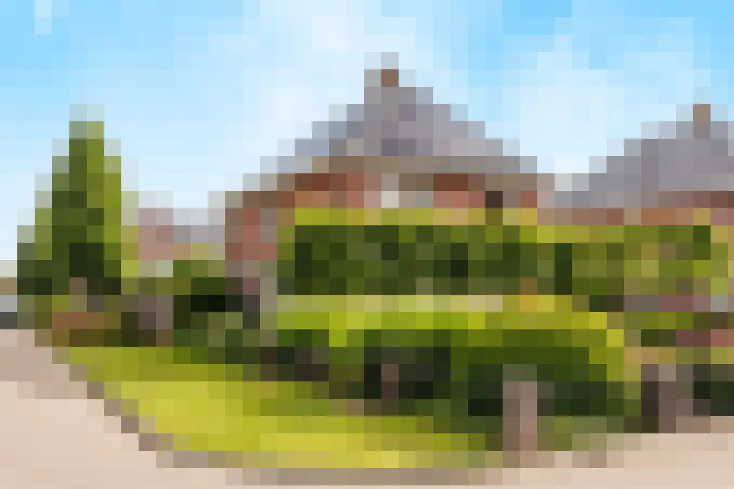 De Tolboom 25 Afferden thumbnail 63