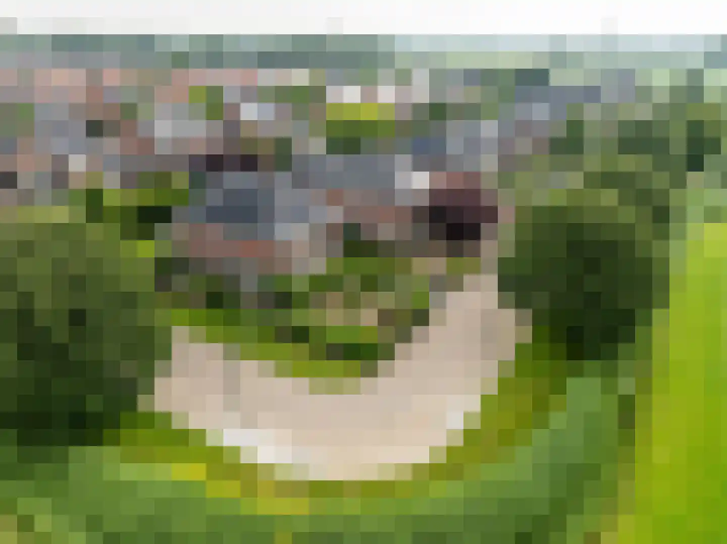 De Tolboom 25 Afferden thumbnail 65