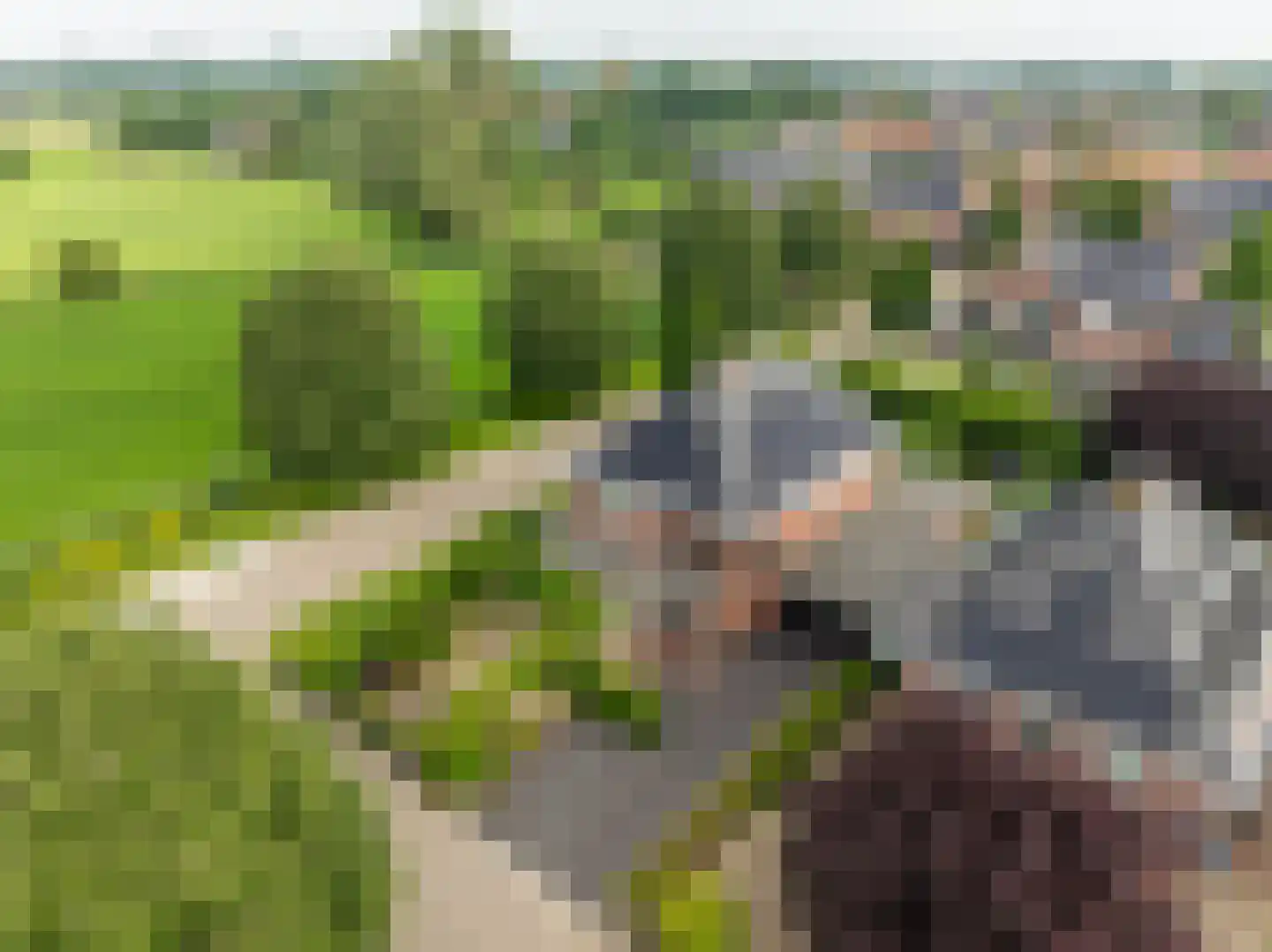 De Tolboom 25 Afferden thumbnail 66
