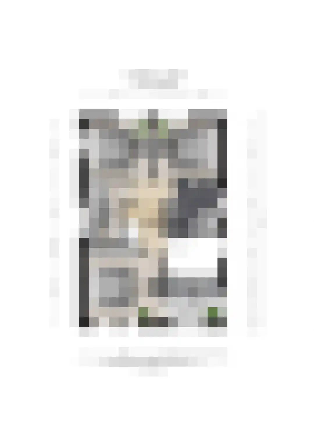 De Tolboom 25 Afferden thumbnail 69