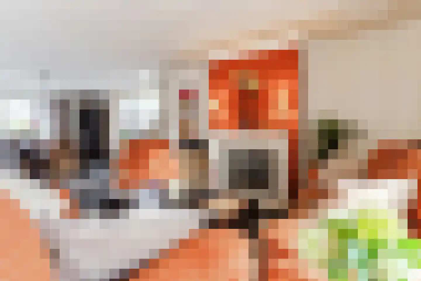 De Tollande 25 Hoogeloon thumbnail 10