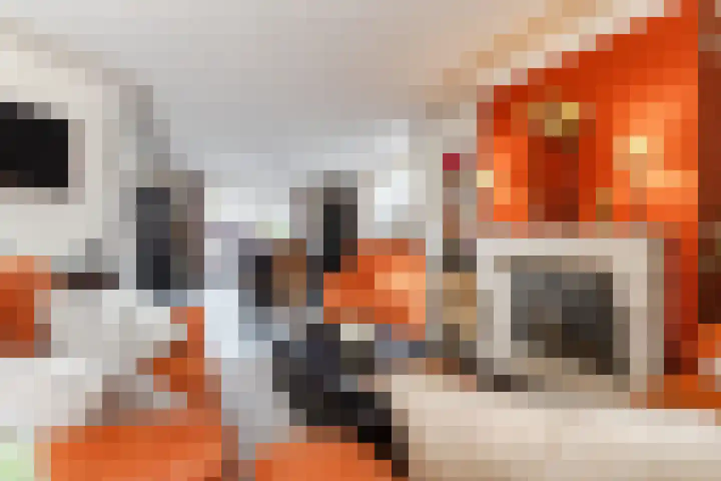 De Tollande 25 Hoogeloon thumbnail 11