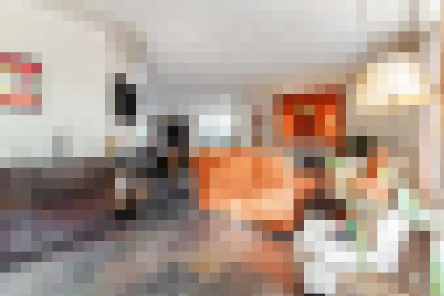 De Tollande 25 Hoogeloon thumbnail 14
