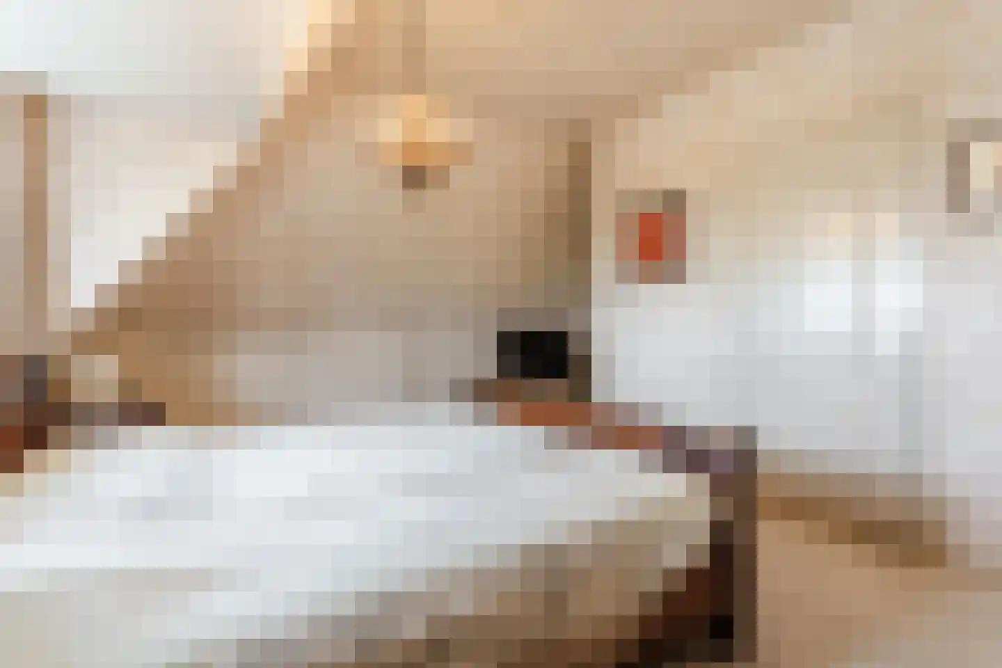 De Tollande 25 Hoogeloon thumbnail 32