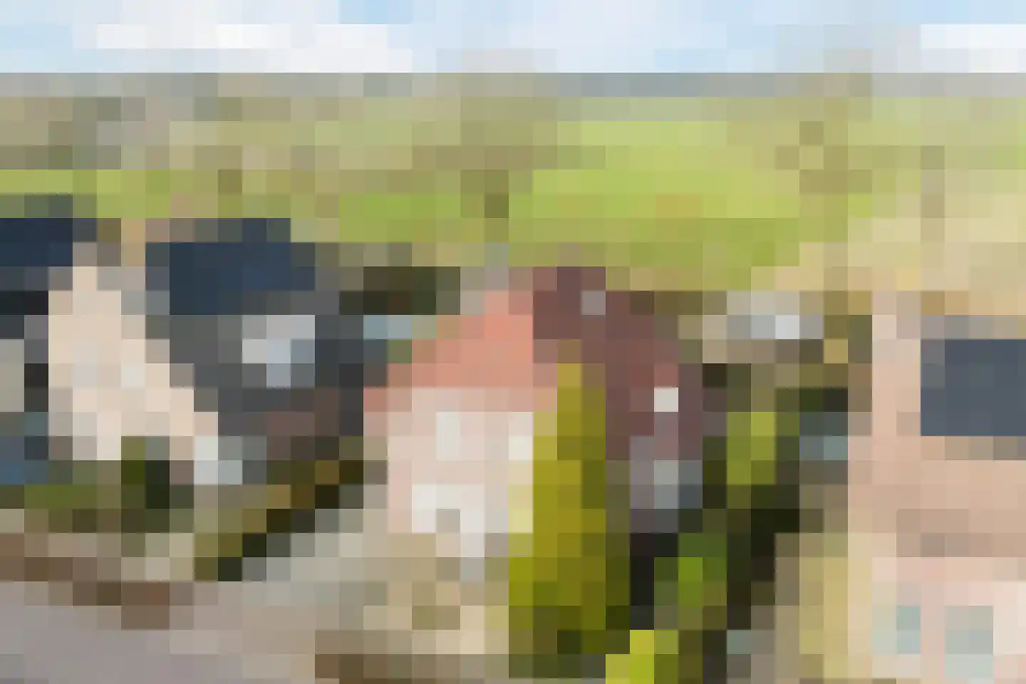 De Tollande 25 Hoogeloon thumbnail 4