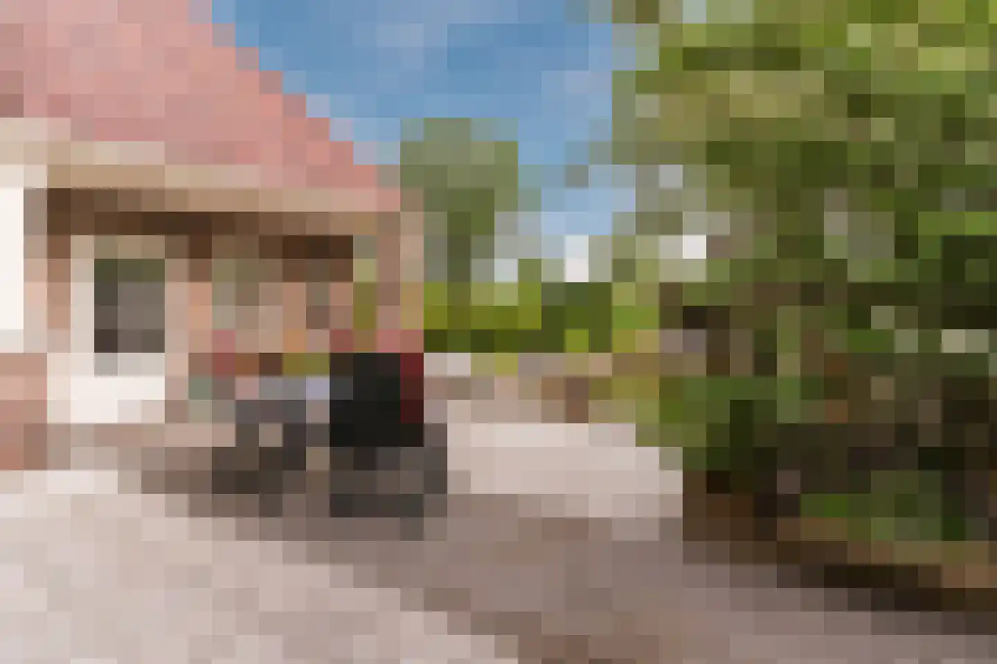 De Tollande 25 Hoogeloon thumbnail 58