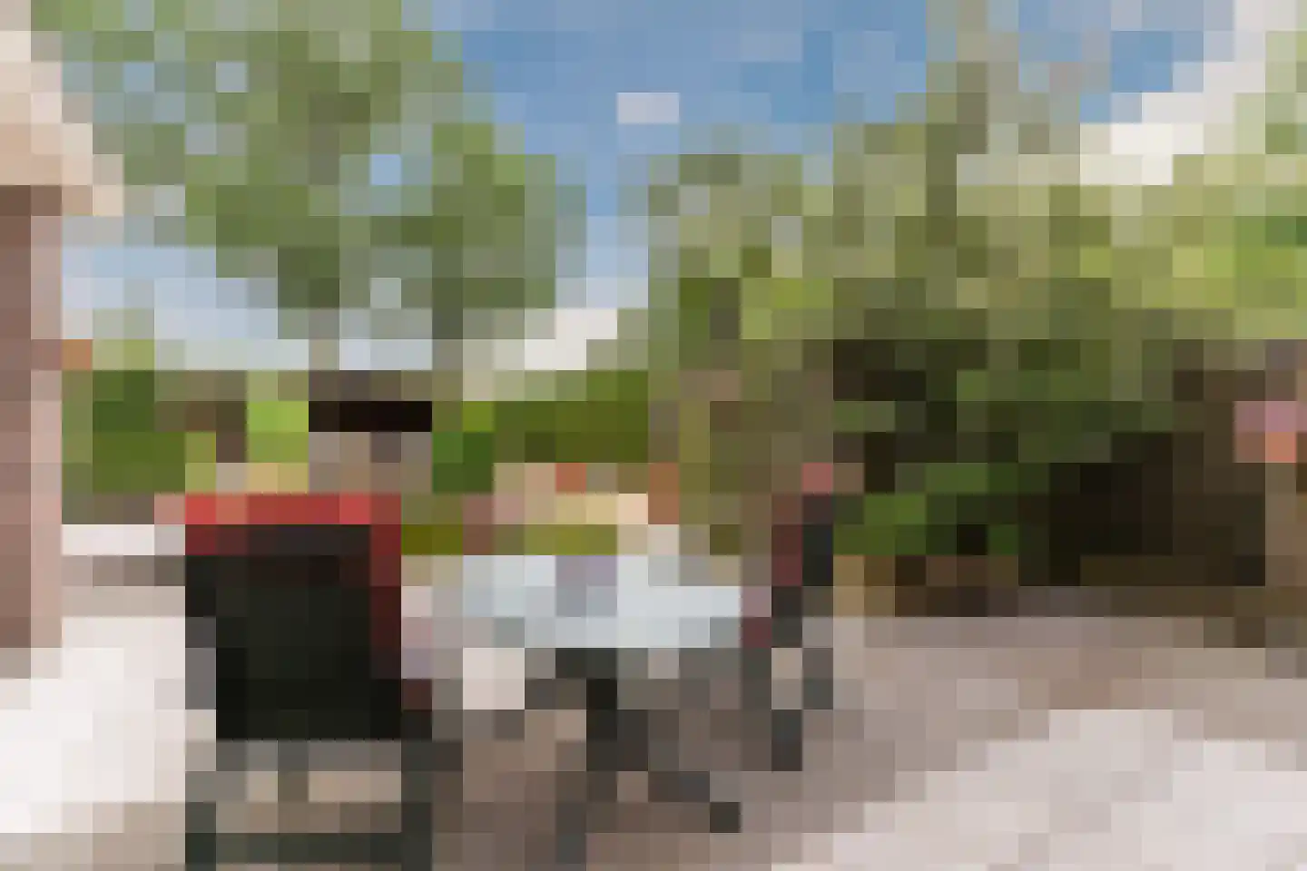 De Tollande 25 Hoogeloon thumbnail 59