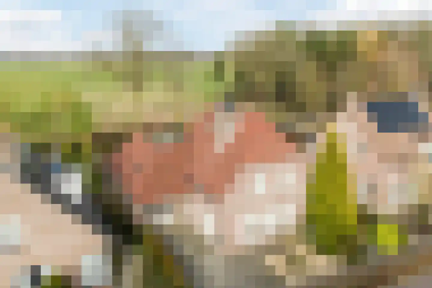 De Tollande 25 Hoogeloon thumbnail 6