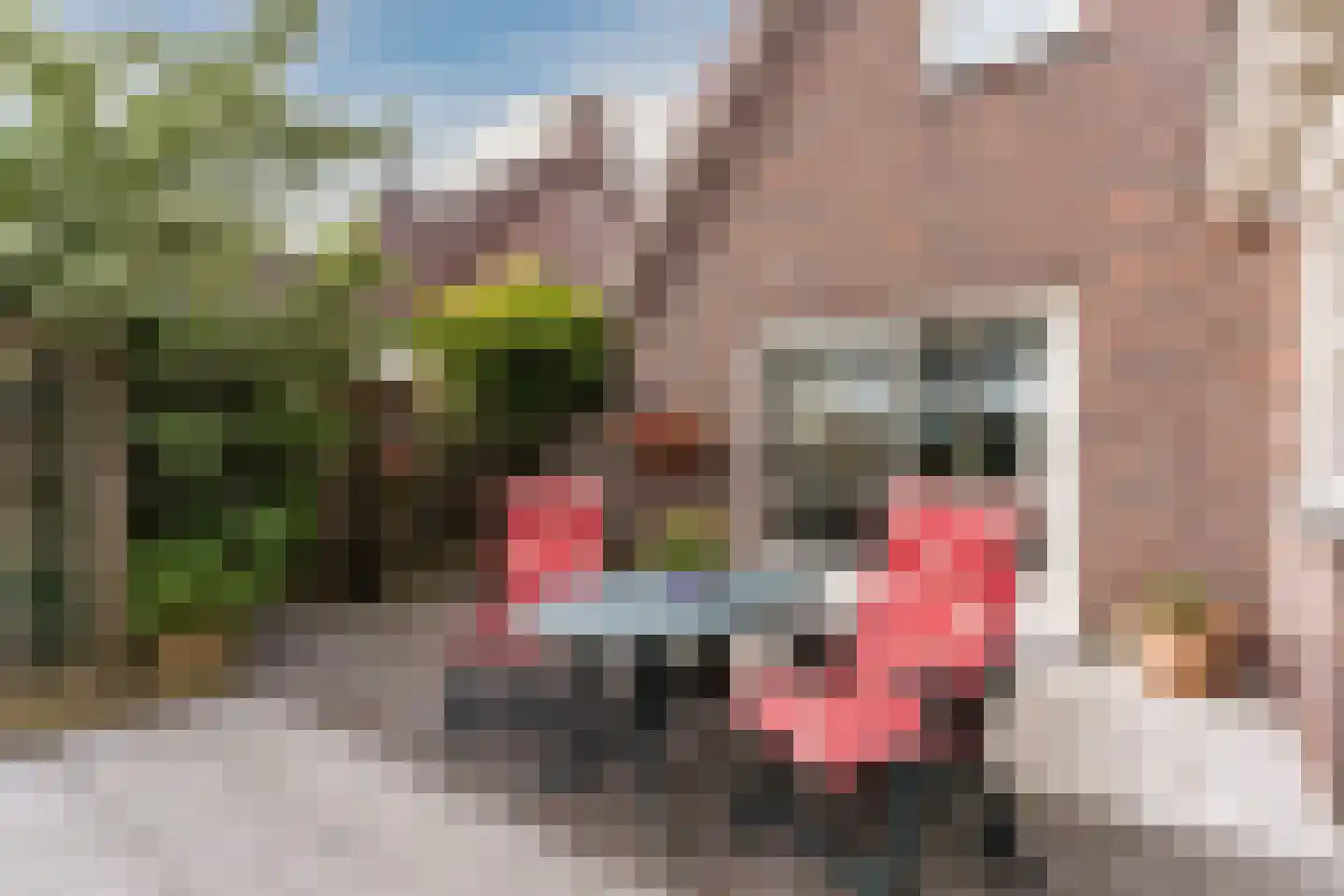 De Tollande 25 Hoogeloon thumbnail 65