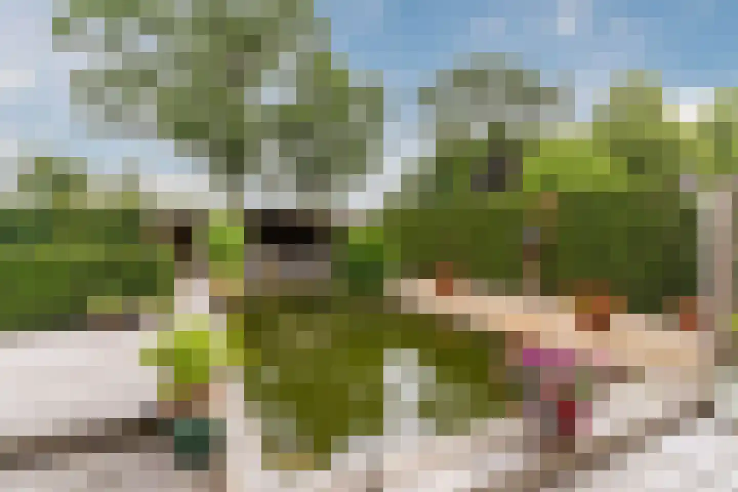 De Tollande 25 Hoogeloon thumbnail 68
