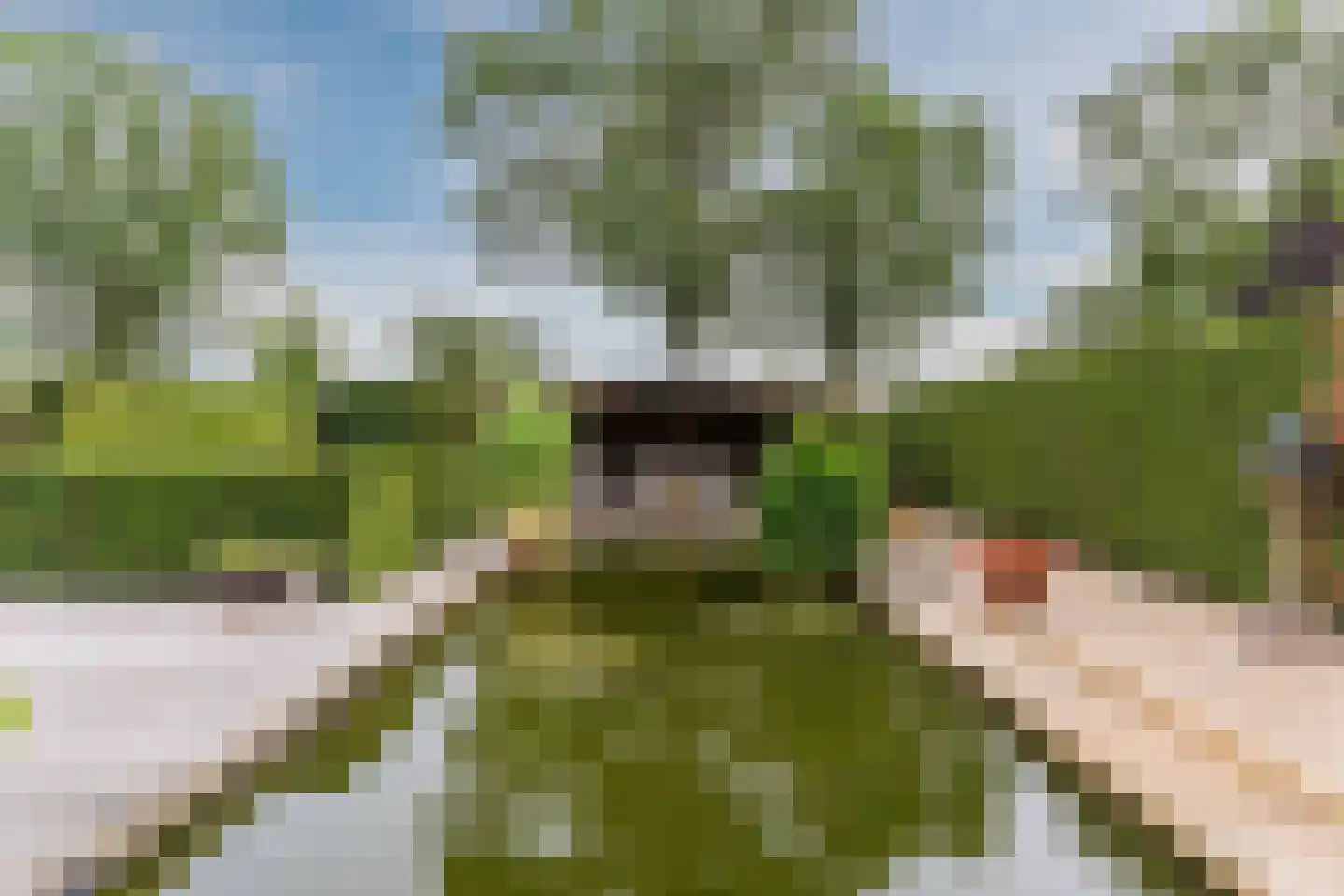 De Tollande 25 Hoogeloon thumbnail 69