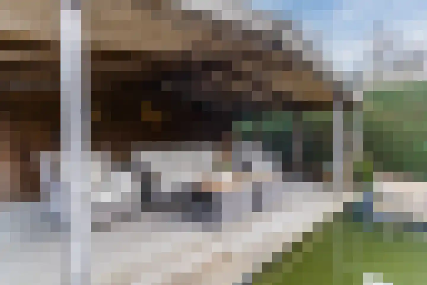 De Tollande 25 Hoogeloon thumbnail 71