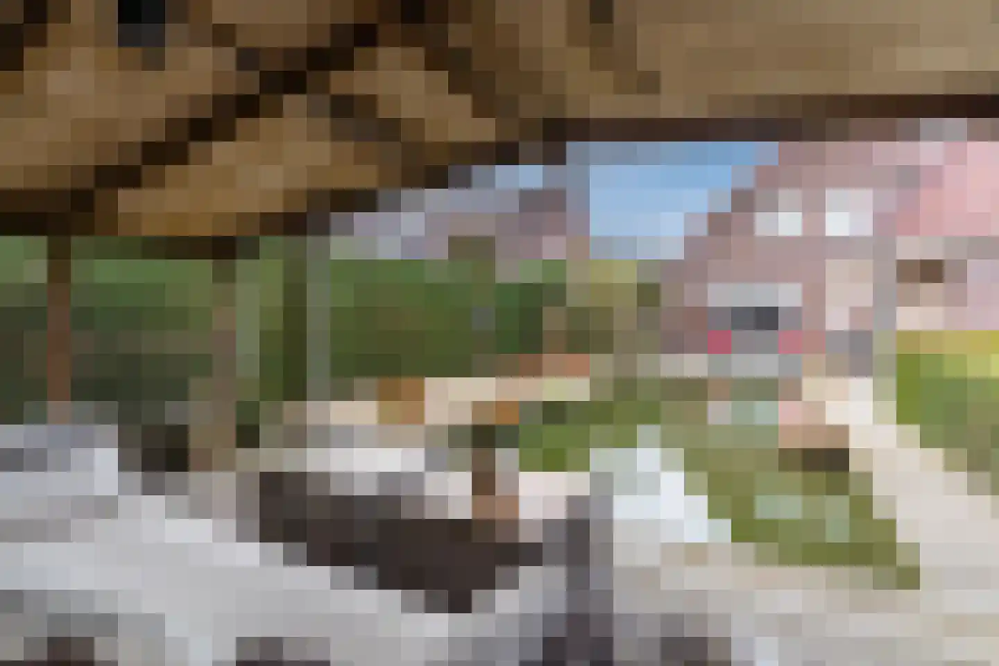 De Tollande 25 Hoogeloon thumbnail 72