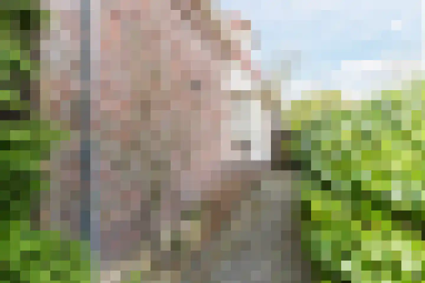 De Tollande 25 Hoogeloon thumbnail 74