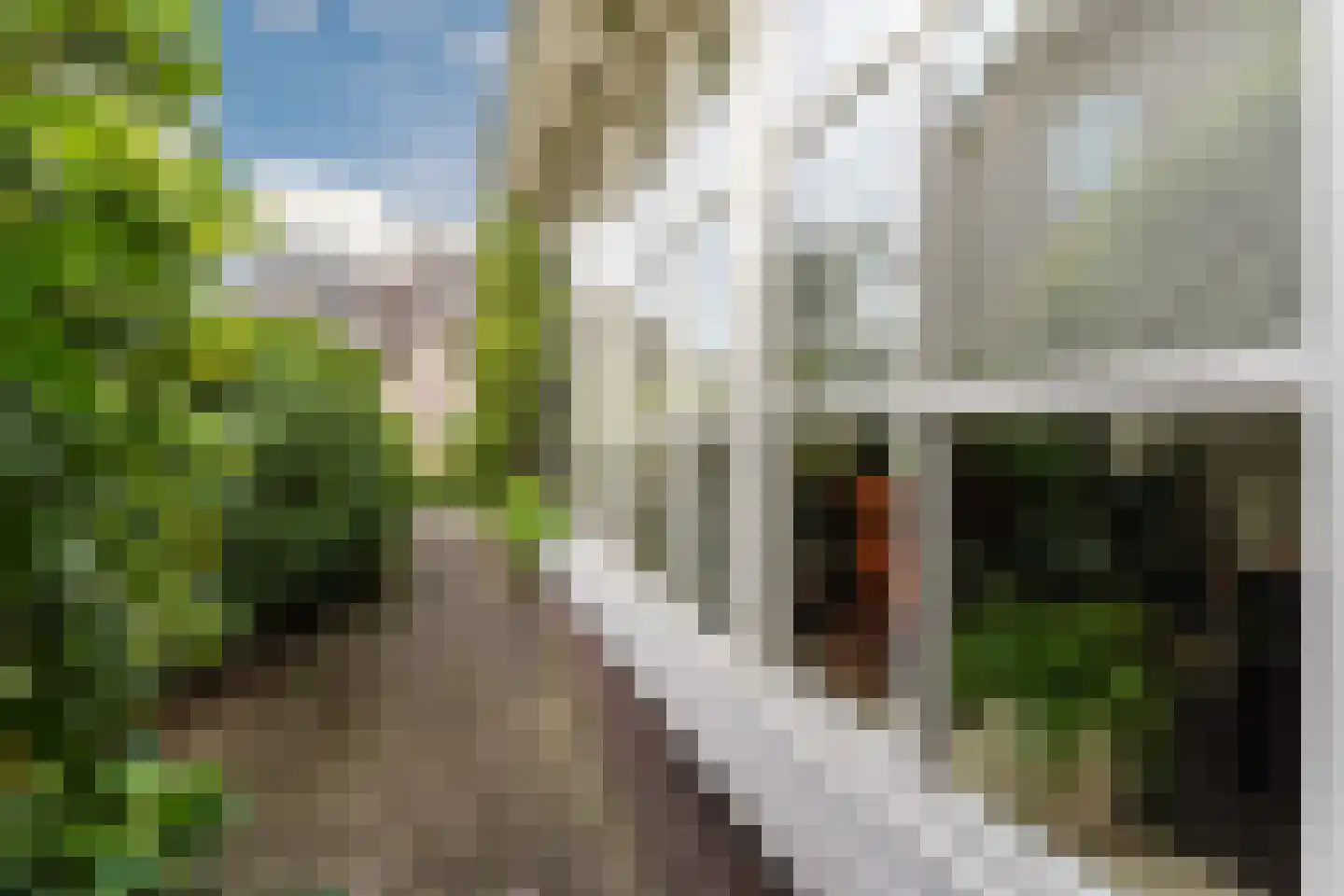 De Tollande 25 Hoogeloon thumbnail 75