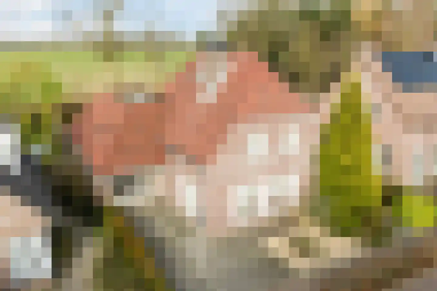 De Tollande 25 Hoogeloon thumbnail 79